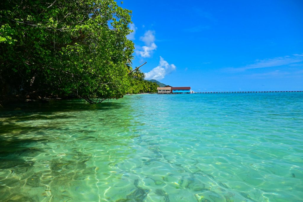 Derawan Family Trip: Turtles & Easy Snorkeling