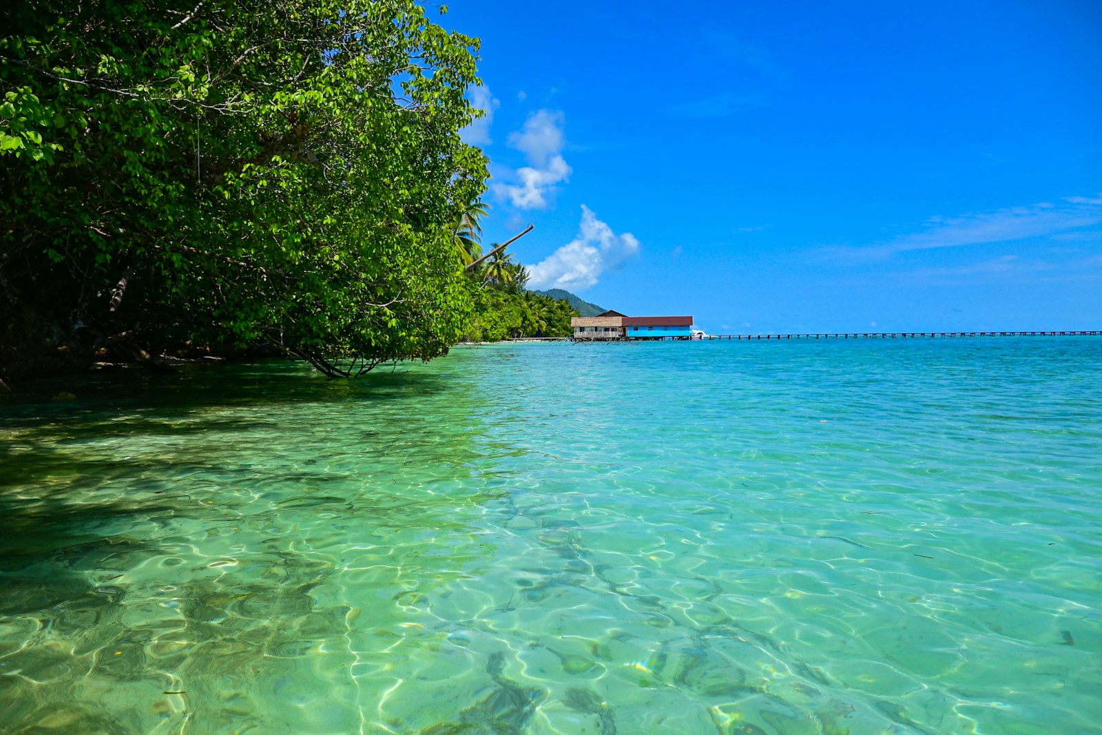 A body of water with trees in the background