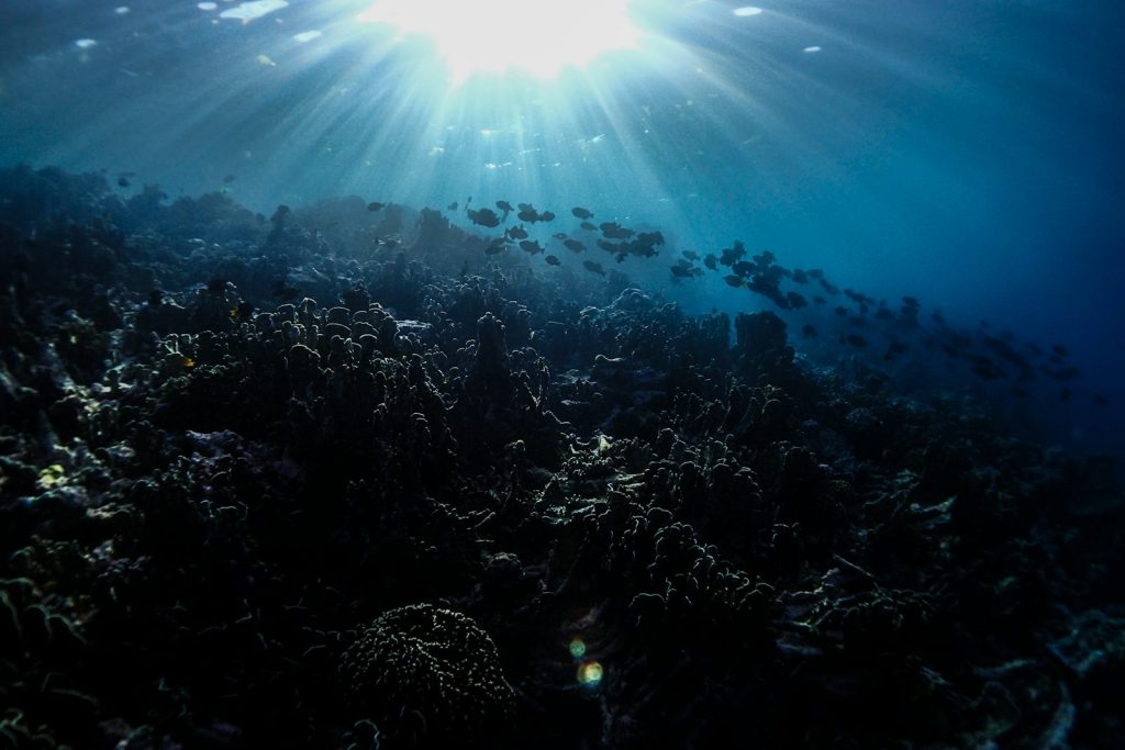 How to Get to Derawan: Access & Transfers