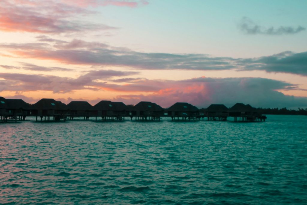 Maratua Diving: Walls & the Barracuda Tornado