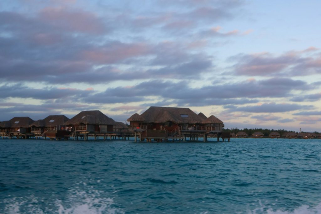 Sangalaki Manta Diving & Snorkeling