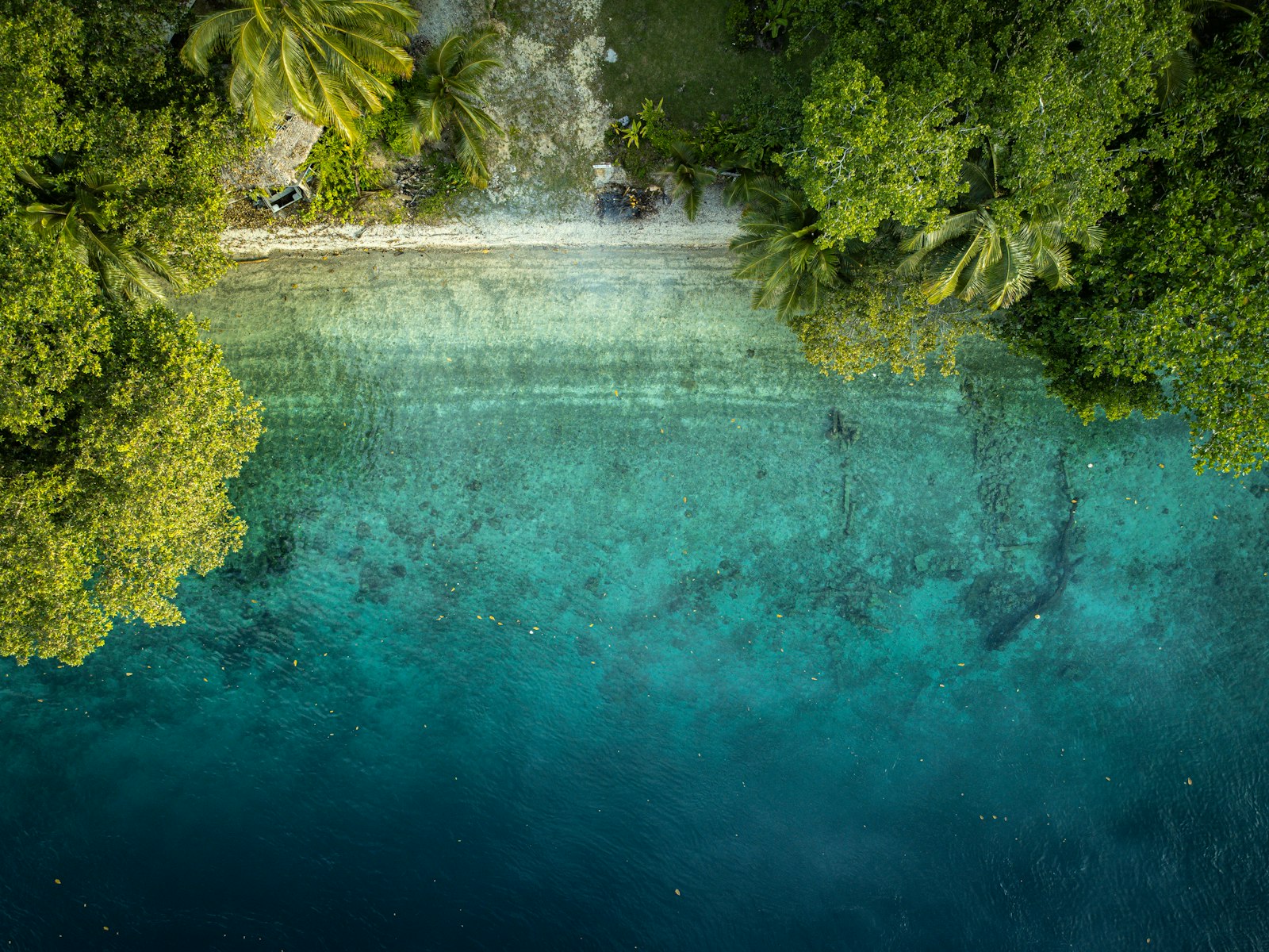 Aerial view of a tropical coastline with clear turquoise water.