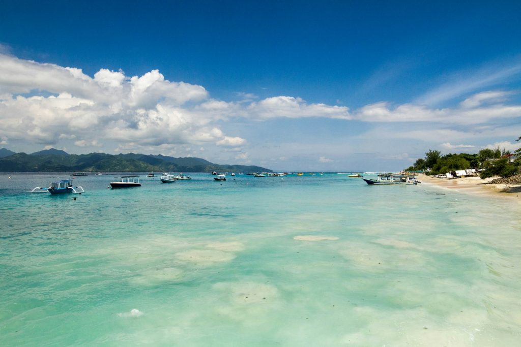 Swimming With Turtles on Derawan Island
