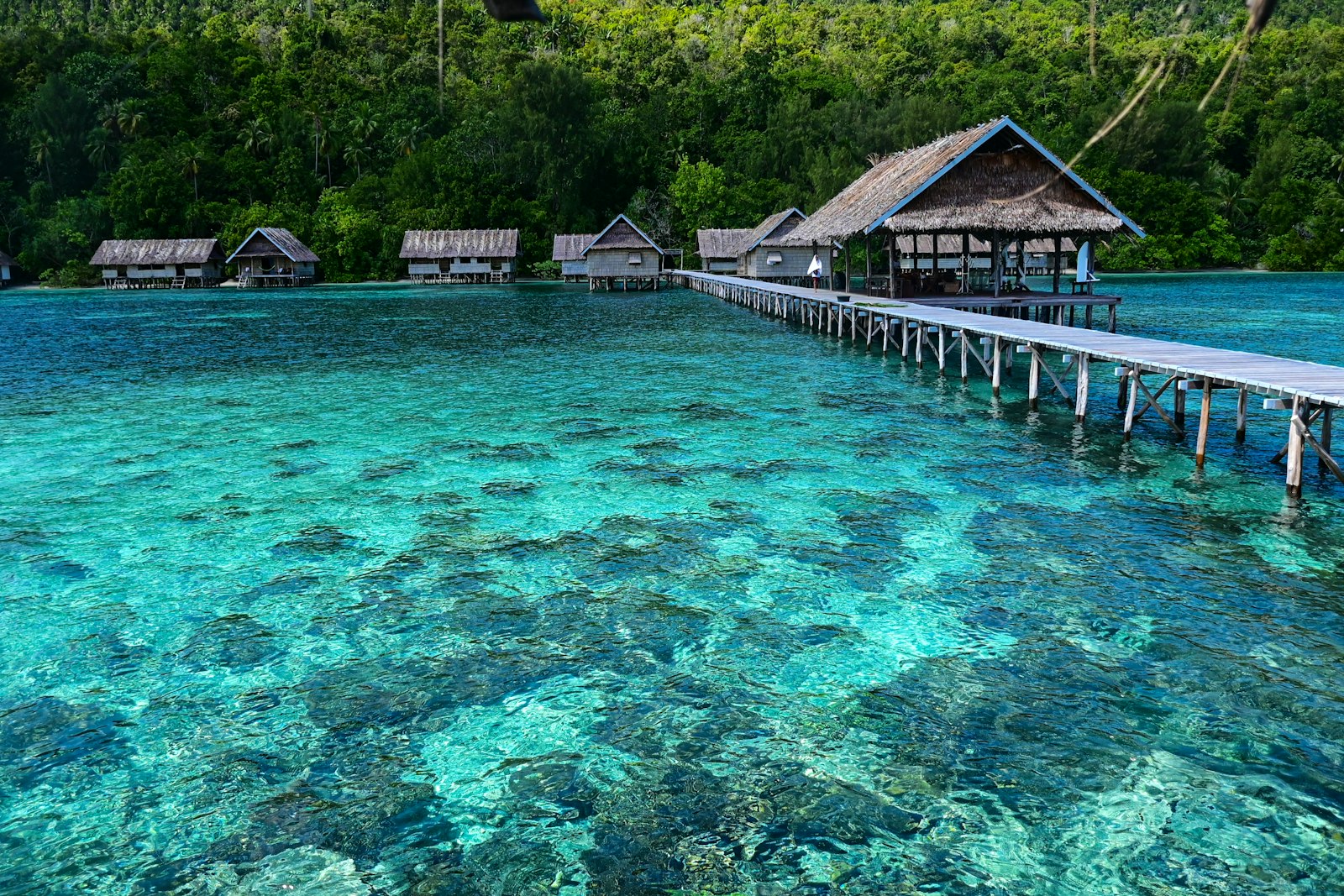 Derawan Island Resort